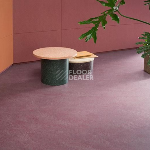 Forbo Marmoleum Decibel on Order 327235 plum фото 2 | FLOORDEALER